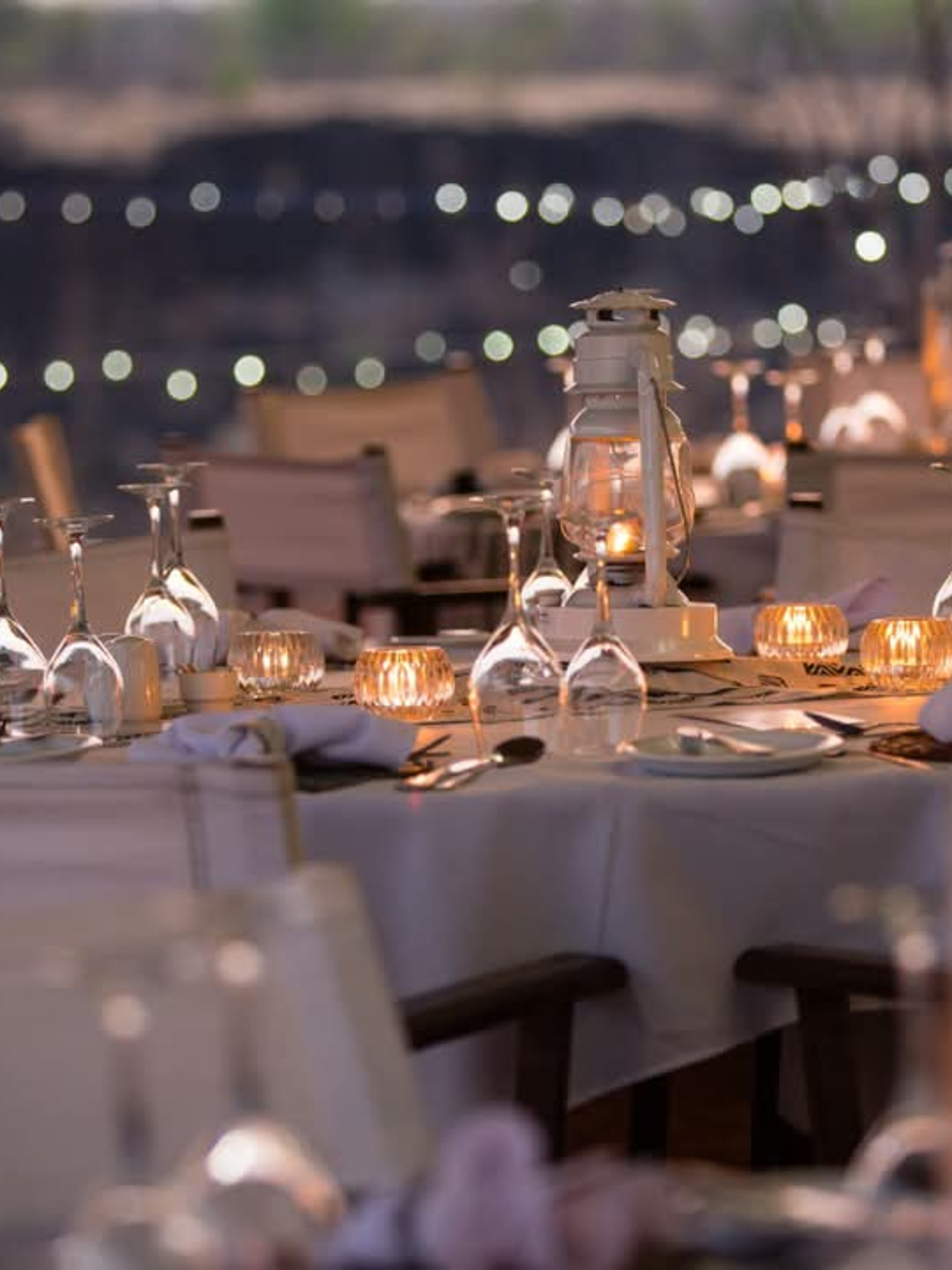 Dinning under the stars